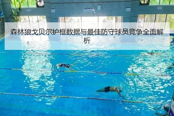 森林狼戈贝尔护框数据与最佳防守球员竞争全面解析