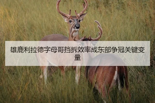 雄鹿利拉德字母哥挡拆效率成东部争冠关键变量