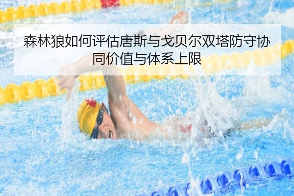 森林狼如何评估唐斯与戈贝尔双塔防守协同价值与体系上限